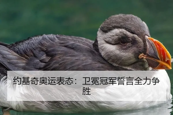 约基奇奥运表态：卫冕冠军誓言全力争胜